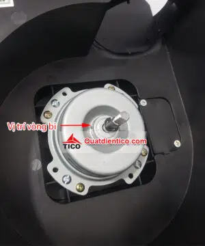 Vị trí vòng bi của quạt