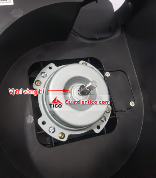 Vị trí vòng bi của quạt