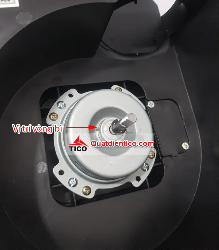 Vị trí vòng bi của quạt